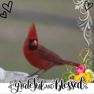 Meet your Posher, Sandy